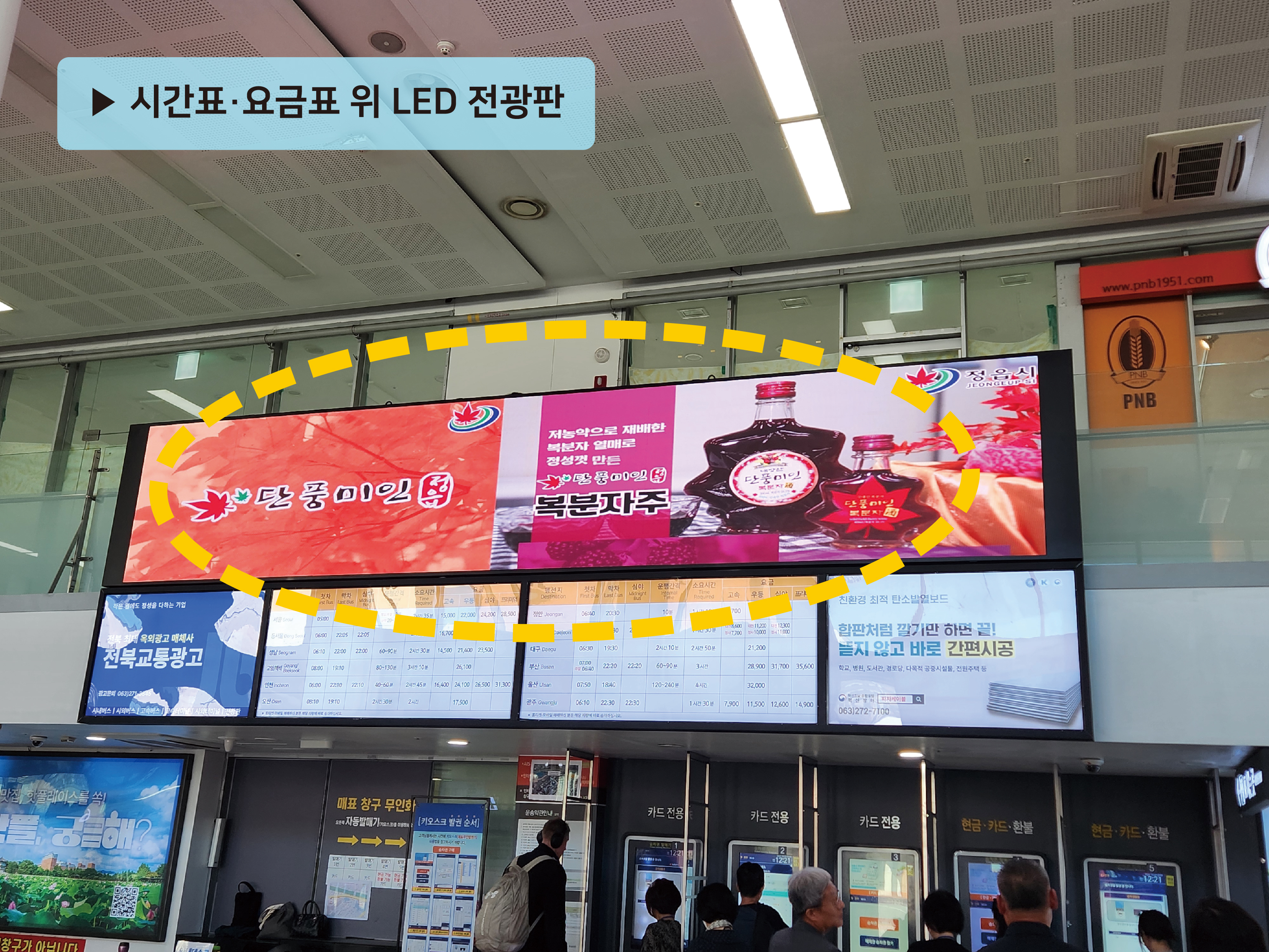 매체 대표 이미지