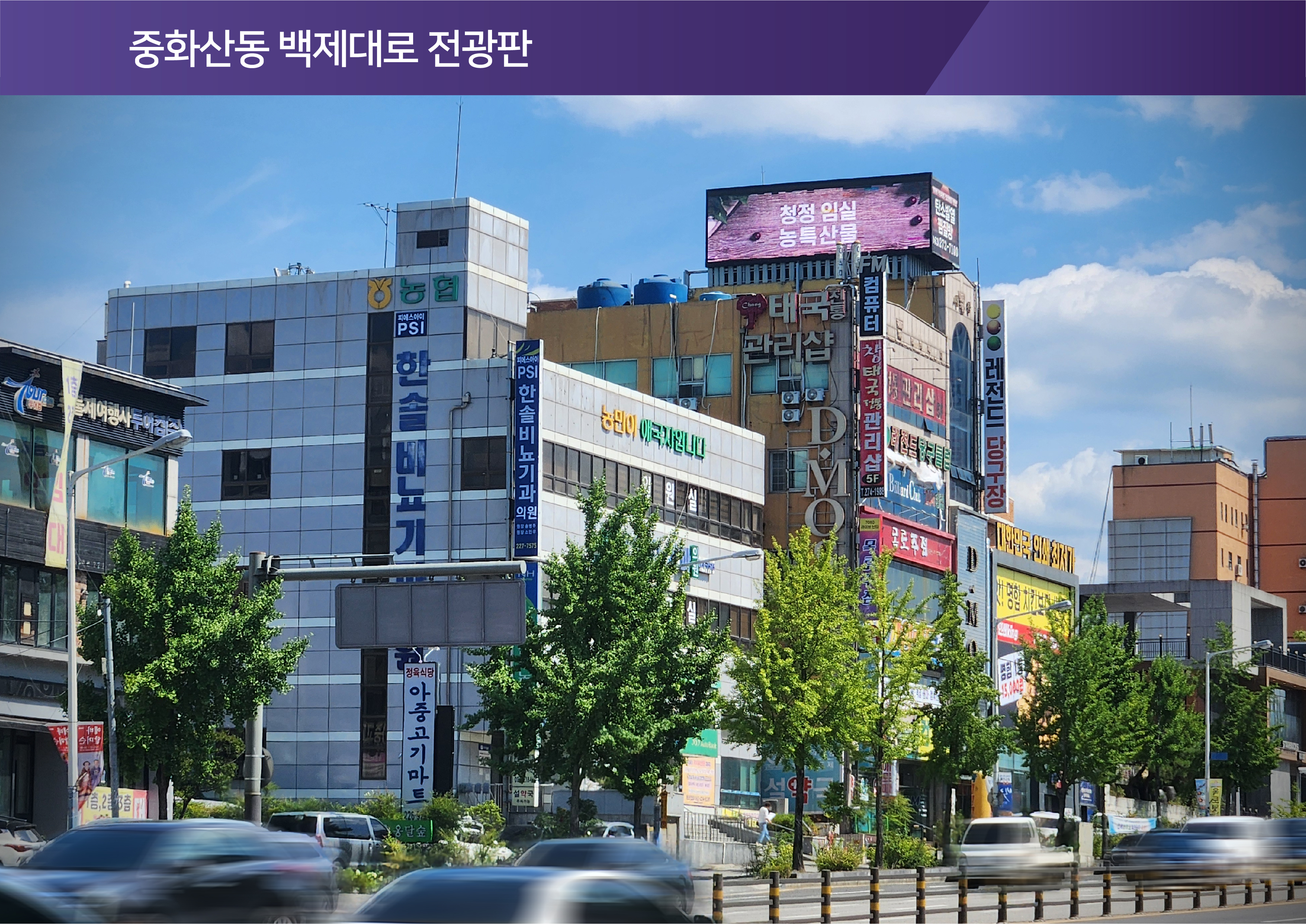 매체 대표 이미지