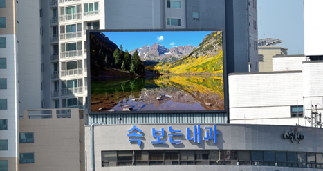 매체 대표 이미지